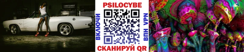 Псилоцибиновые грибы мицелий купить наркотики сайты Любань